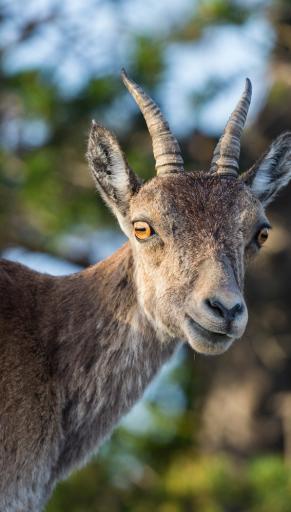 Visitez le Parc Naturel des Ports